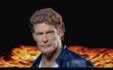 The Hoff